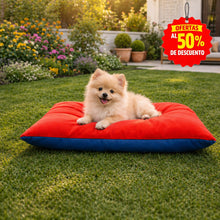 Translation missing: es.sections.featured_product.gallery_thumbnail_alt
