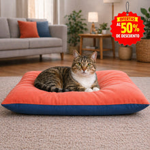 Translation missing: es.sections.featured_product.gallery_thumbnail_alt
